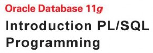 Introduction or Oracle PL/SQL training course