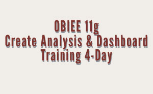 OBIEE Create Analysis Training