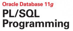 Oracle PLSQL training course