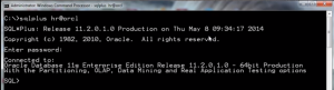 Successful login with sqlplus prompt