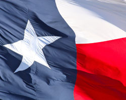 Dallas-TX-IT-Training-Flag