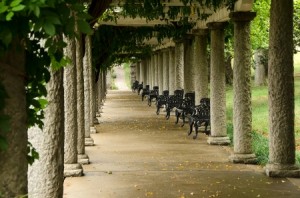 Richmond-IT-courses-Columns-and-Ivy-in-Maymont-Gardens