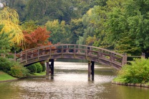 St-Louis-IT-courses-Japanese-Bridge