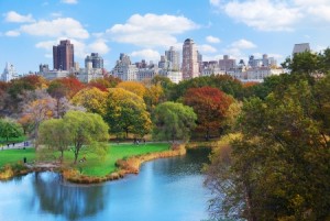 new-york-IT-training-NY-Manhattan-Central-Park