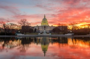 washington-DC-IT-courses-Capitol-Building